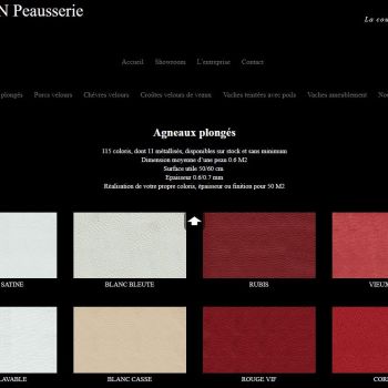 reference refonte design site vitrine multi langues catalogue peaux cuirs paris