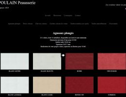 reference refonte design site vitrine multi langues catalogue peaux cuirs paris